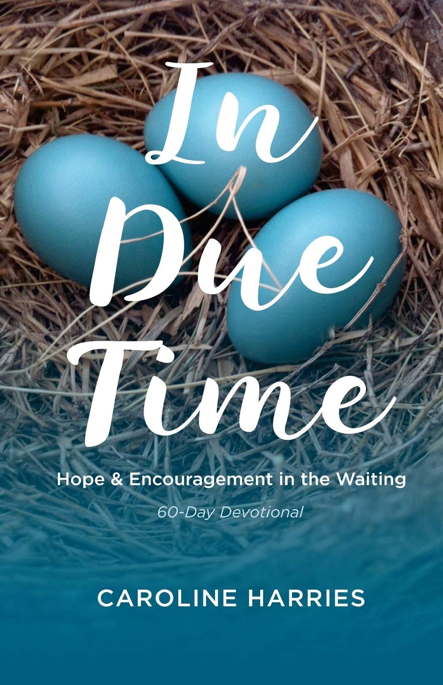 In Due Time: Hope and Encouragement in the Waiting used book depot