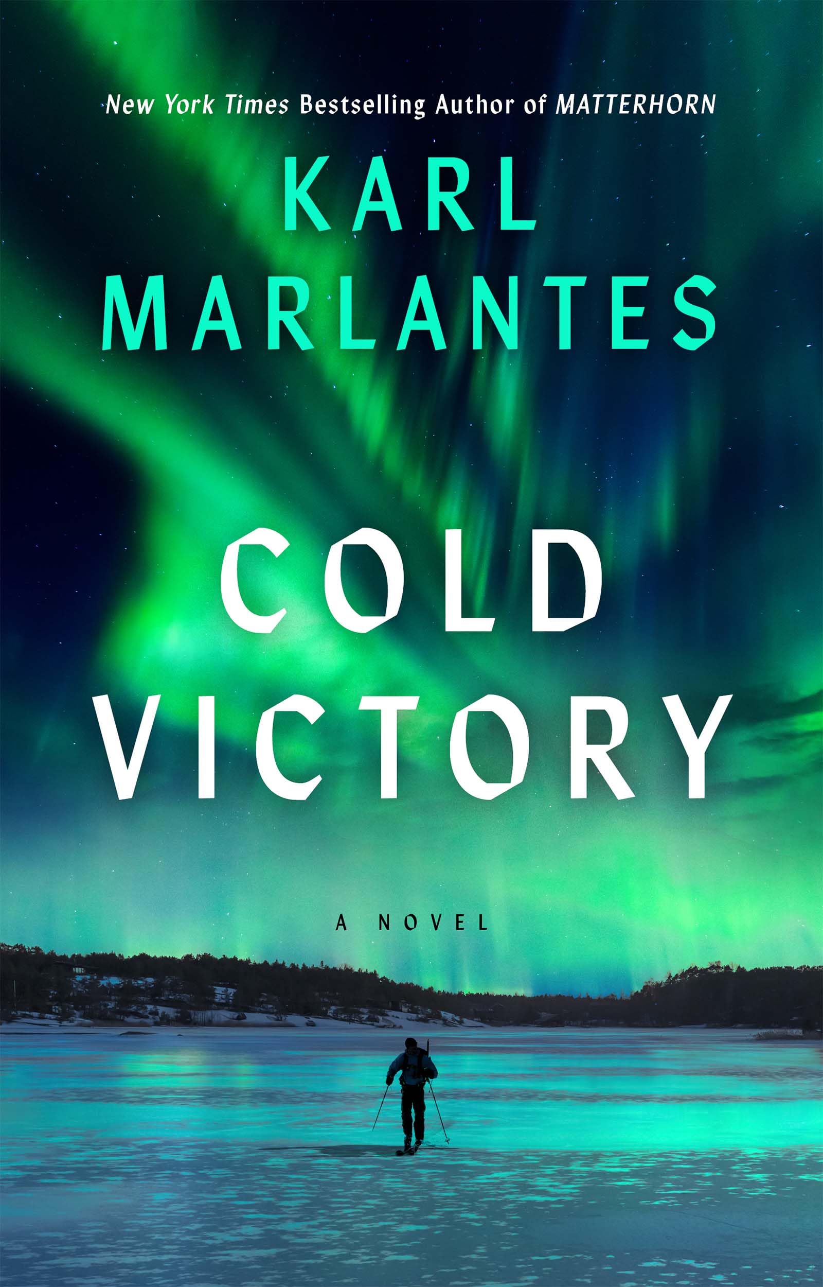 Cold Victory used book depot