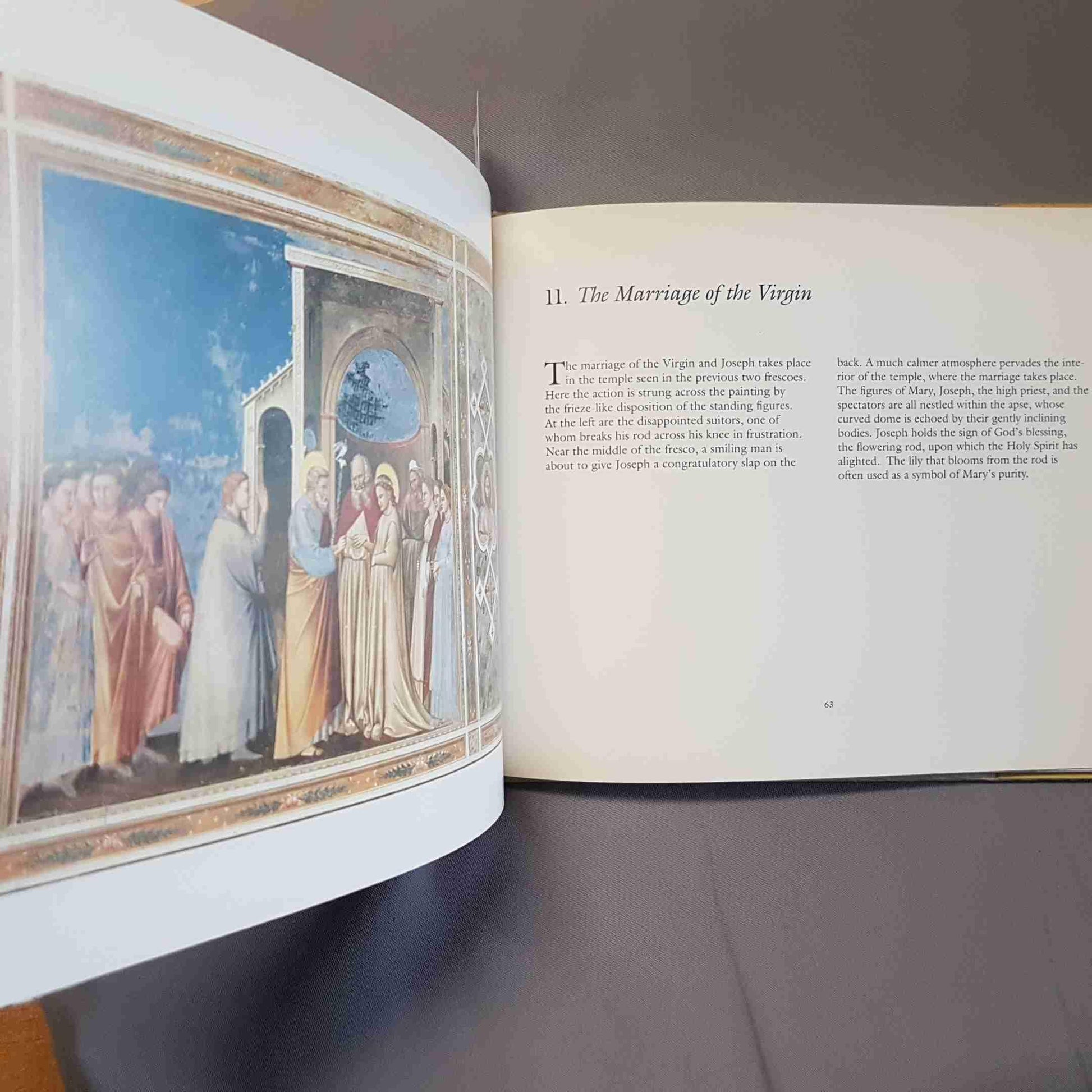 Giotto: The Scrovegni Chapel, Padua (Great Fresco Cycles of the Renaissance) used book depot