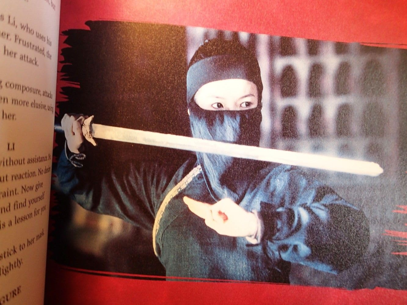 Crouching Tiger, Hidden Dragon: A Portrait of the Ang Lee Film (Pictorial Moviebook) used book depot