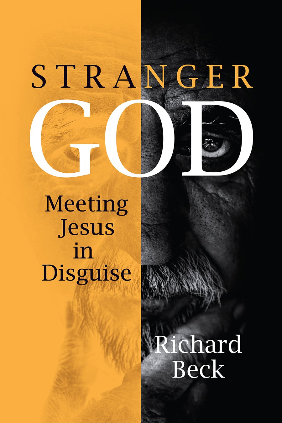 Stranger God: Meeting Jesus in Disguise used book depot