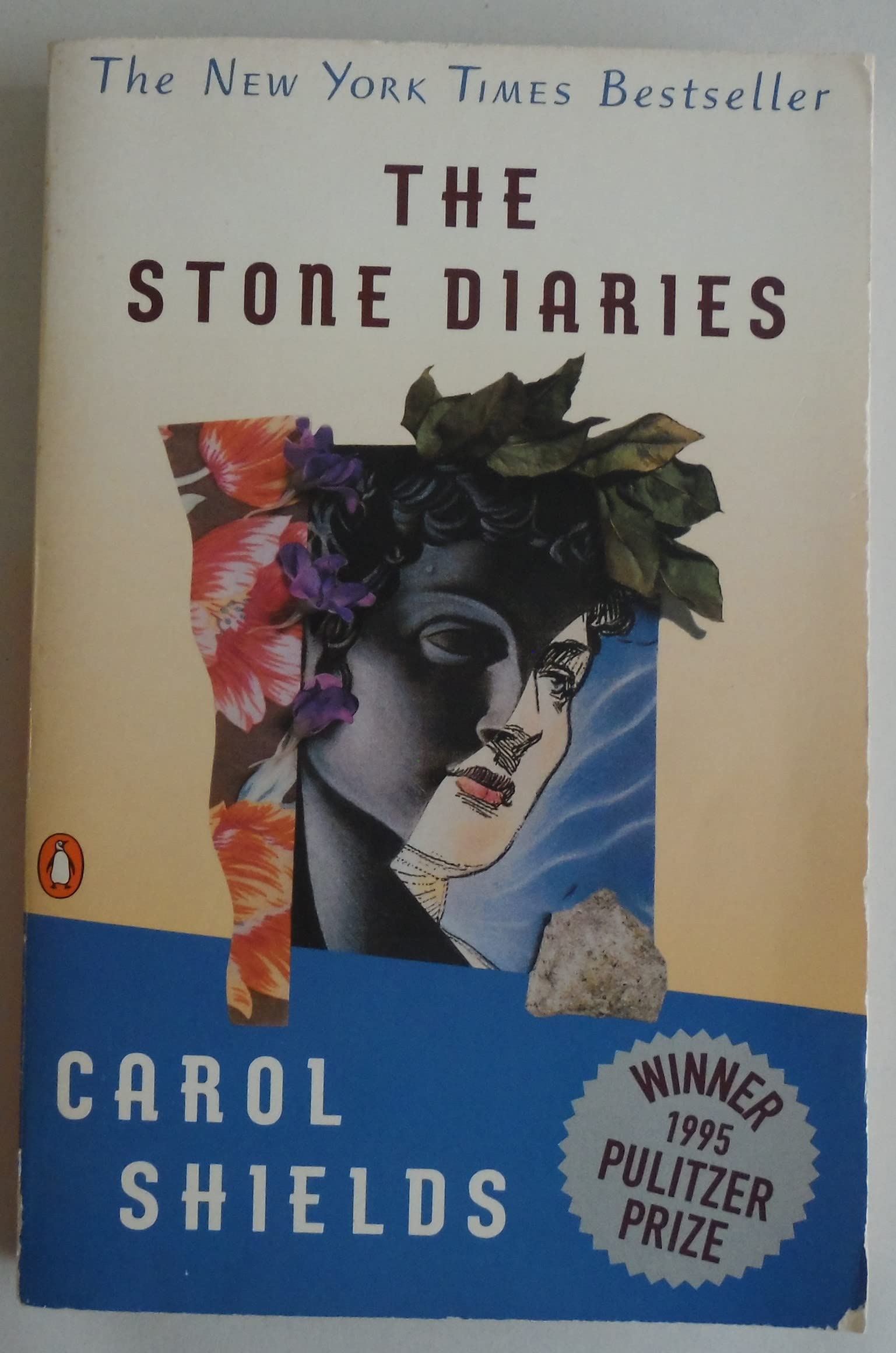 The Stone Diaries used book depot