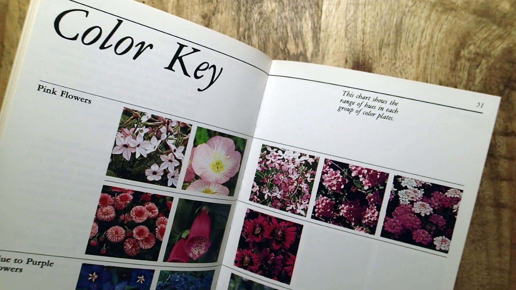 Taylor's Guide to Annuals (Taylor's Guide to Gardening) used book depot