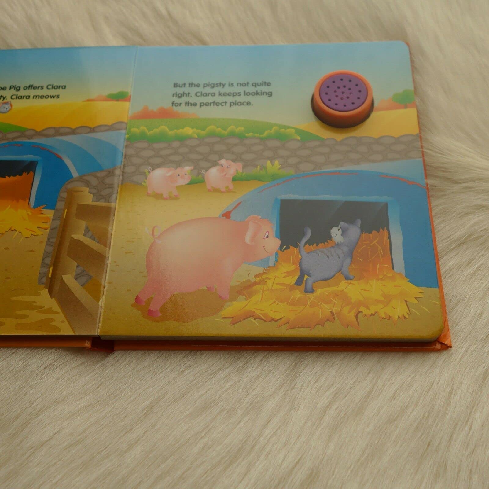 Clara Cat (Magic Sounds Series 2) used book depot