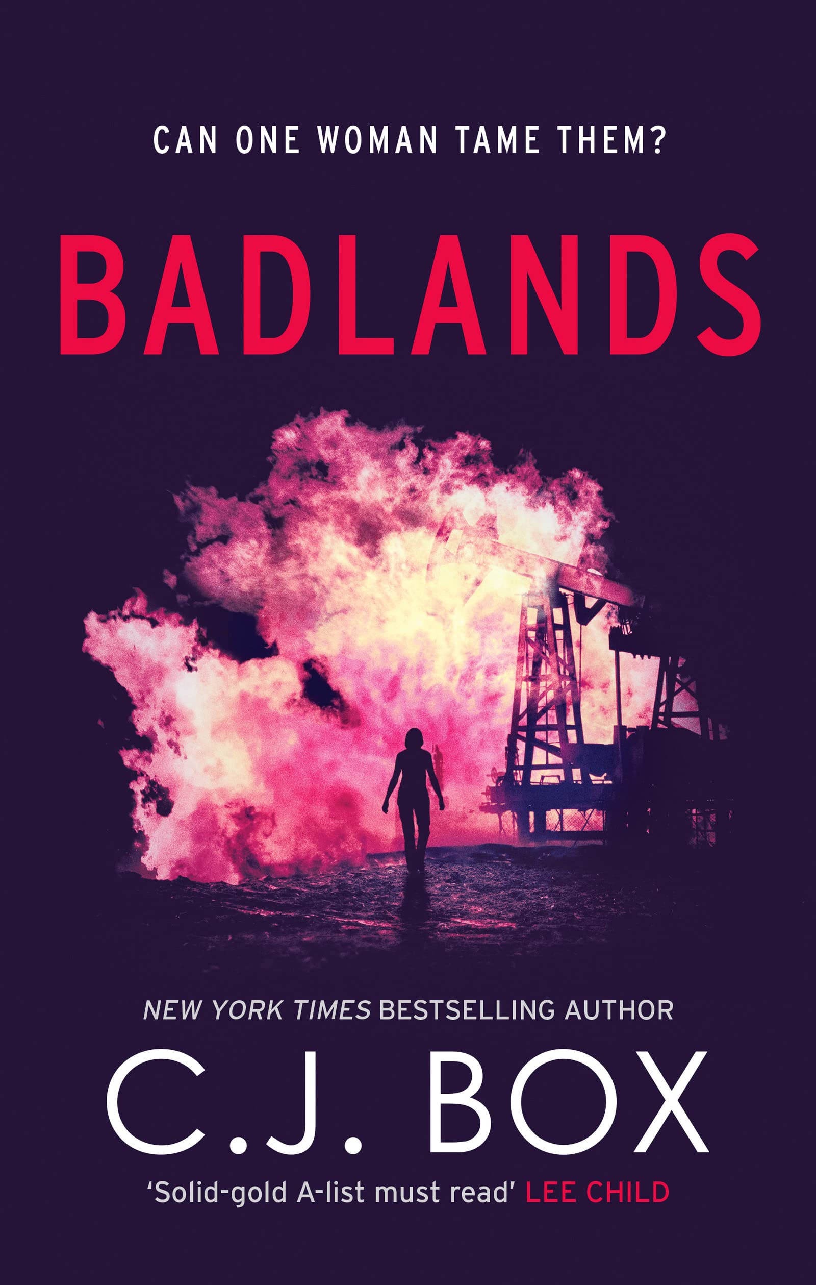 Badlands (Cassie Dewel) used book depot