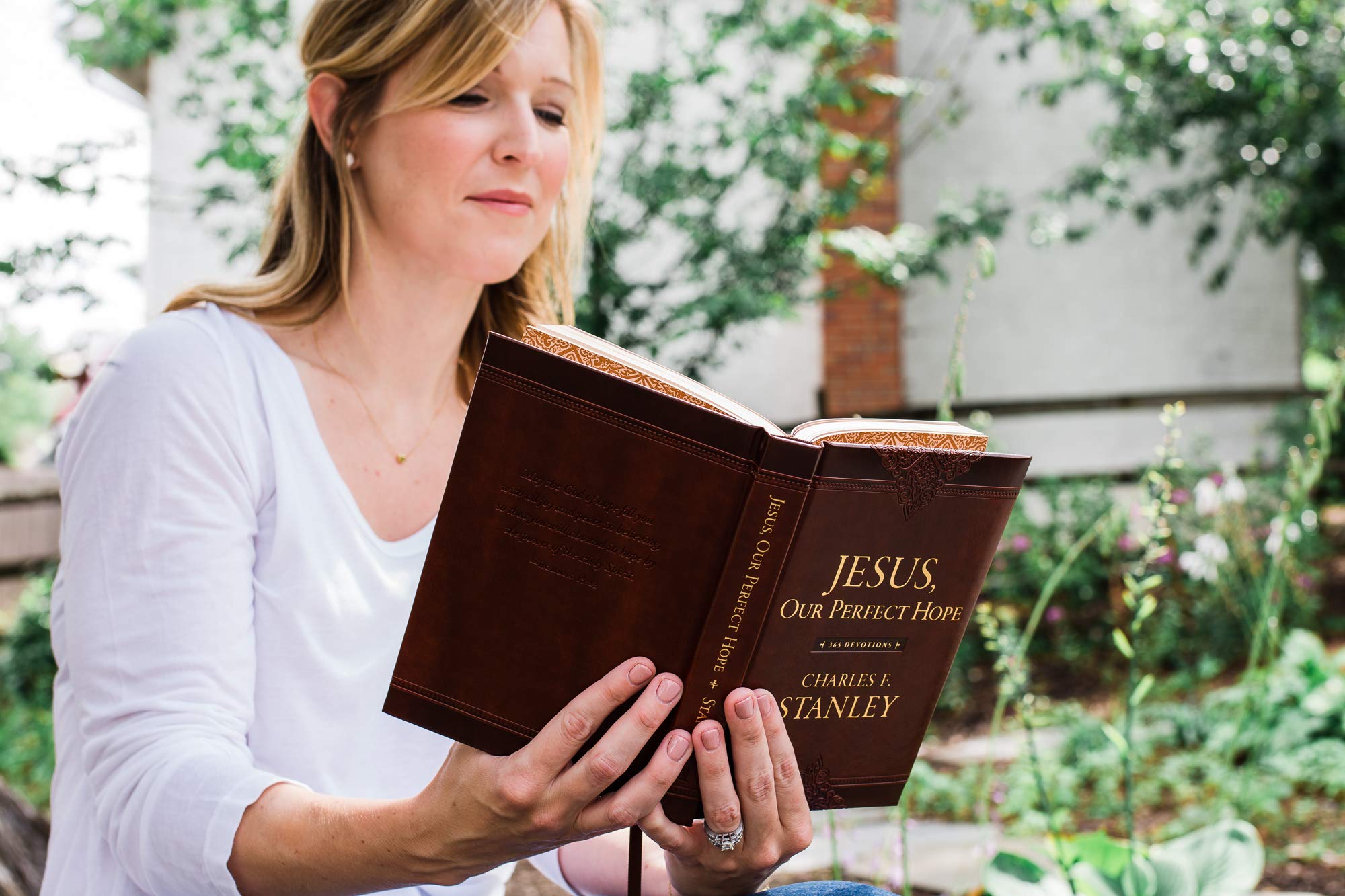 Jesus, Our Perfect Hope: A Daily Devotional for Finding Confidence and Encouragement in God’s Promises (365 Devotions - Inspiration for Every Day of the Year) (Devotionals from Charles F. Sta