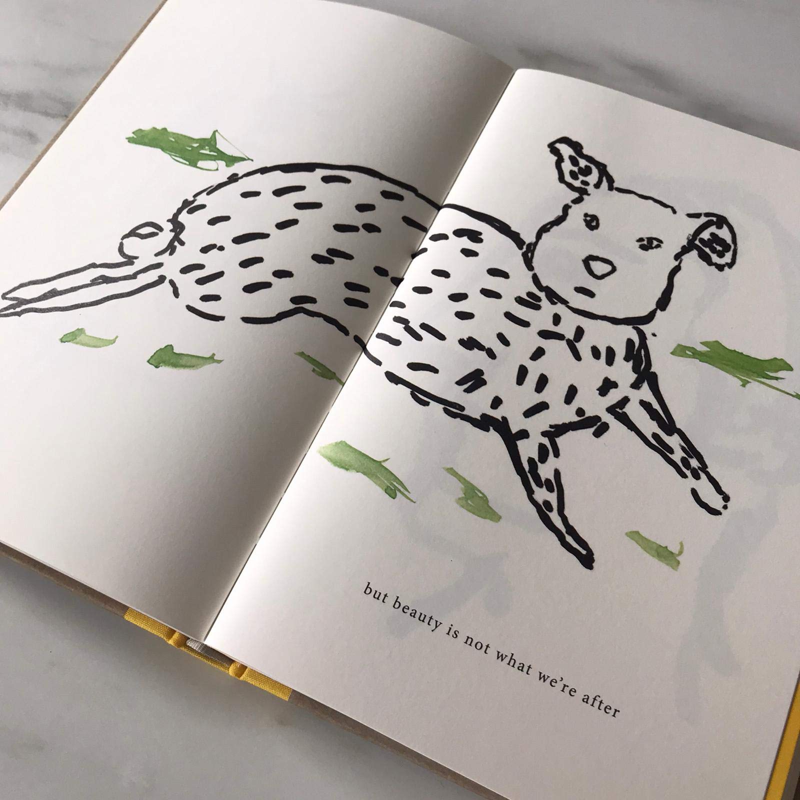 American Utopia used book depot