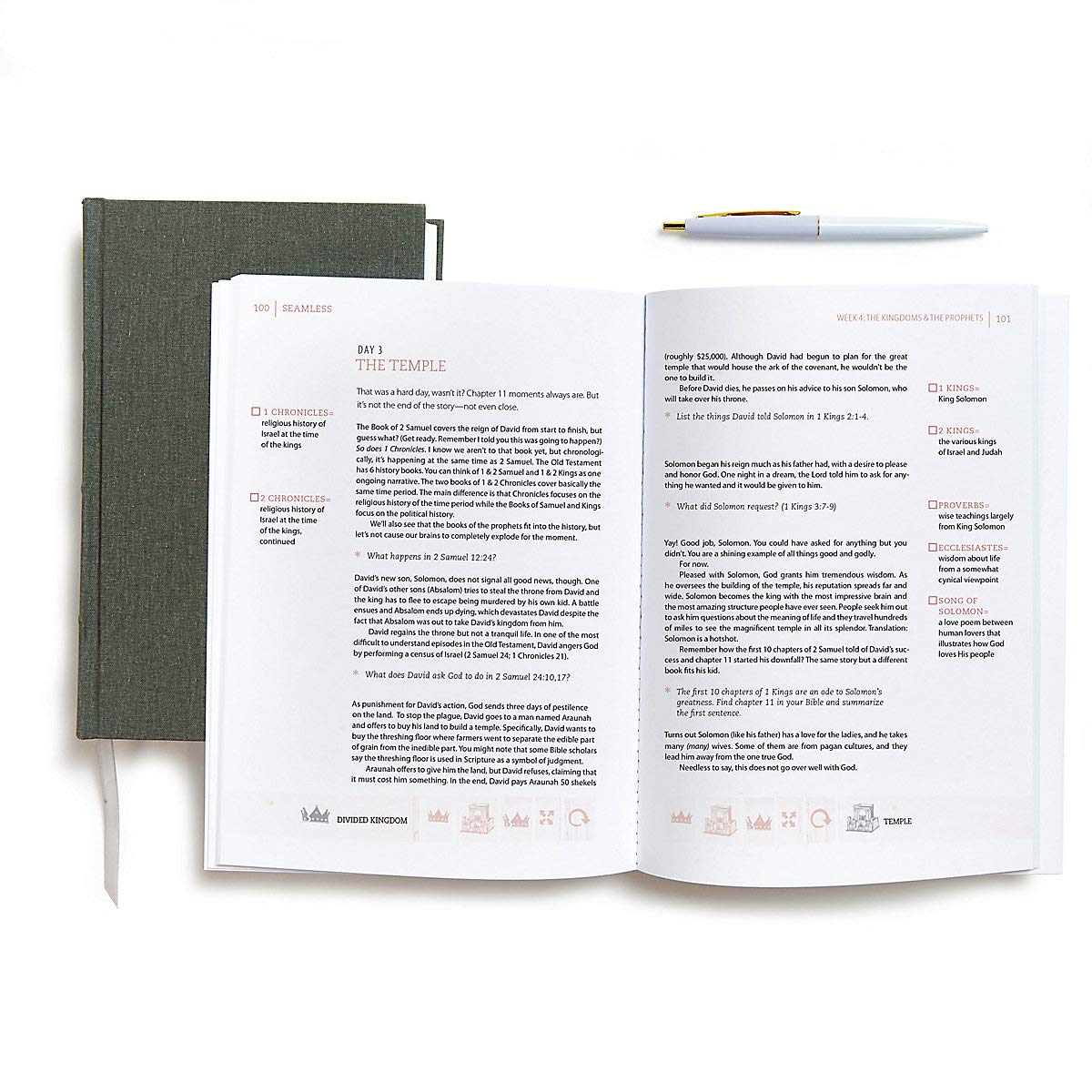 Seamless: Understanding the Bible as One Complete Story (Member Book) used book depot