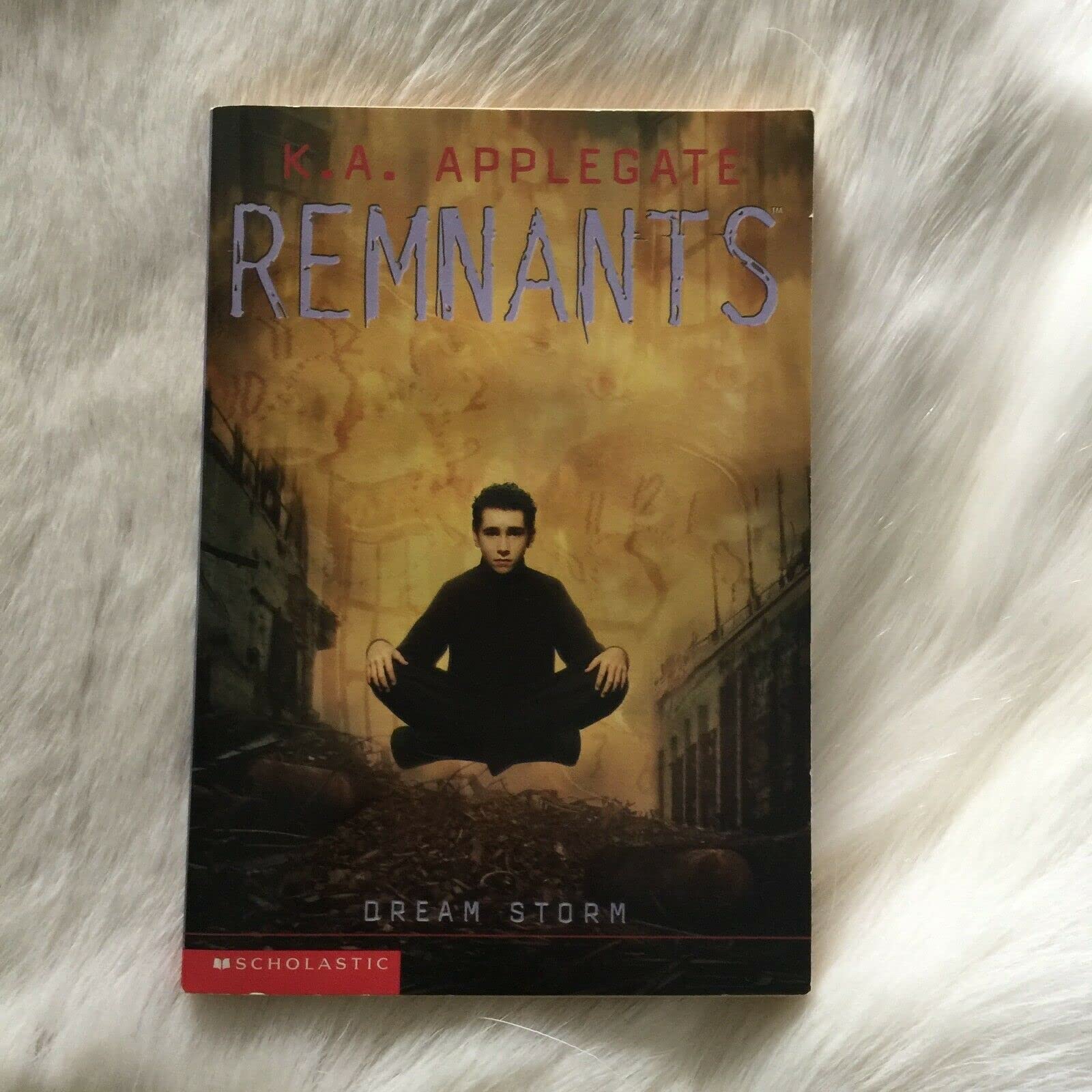 Dream Storm (Remnants, Book 11) used book depot