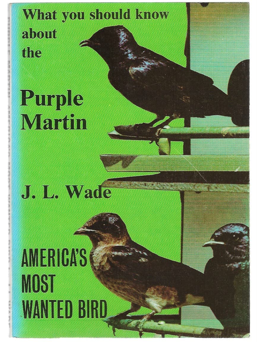 Purple Martin America's Most Wanted Bird used book depot