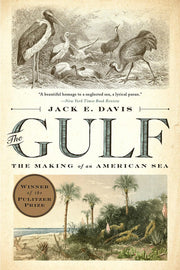 The Gulf: The Making of An American Sea used book depot