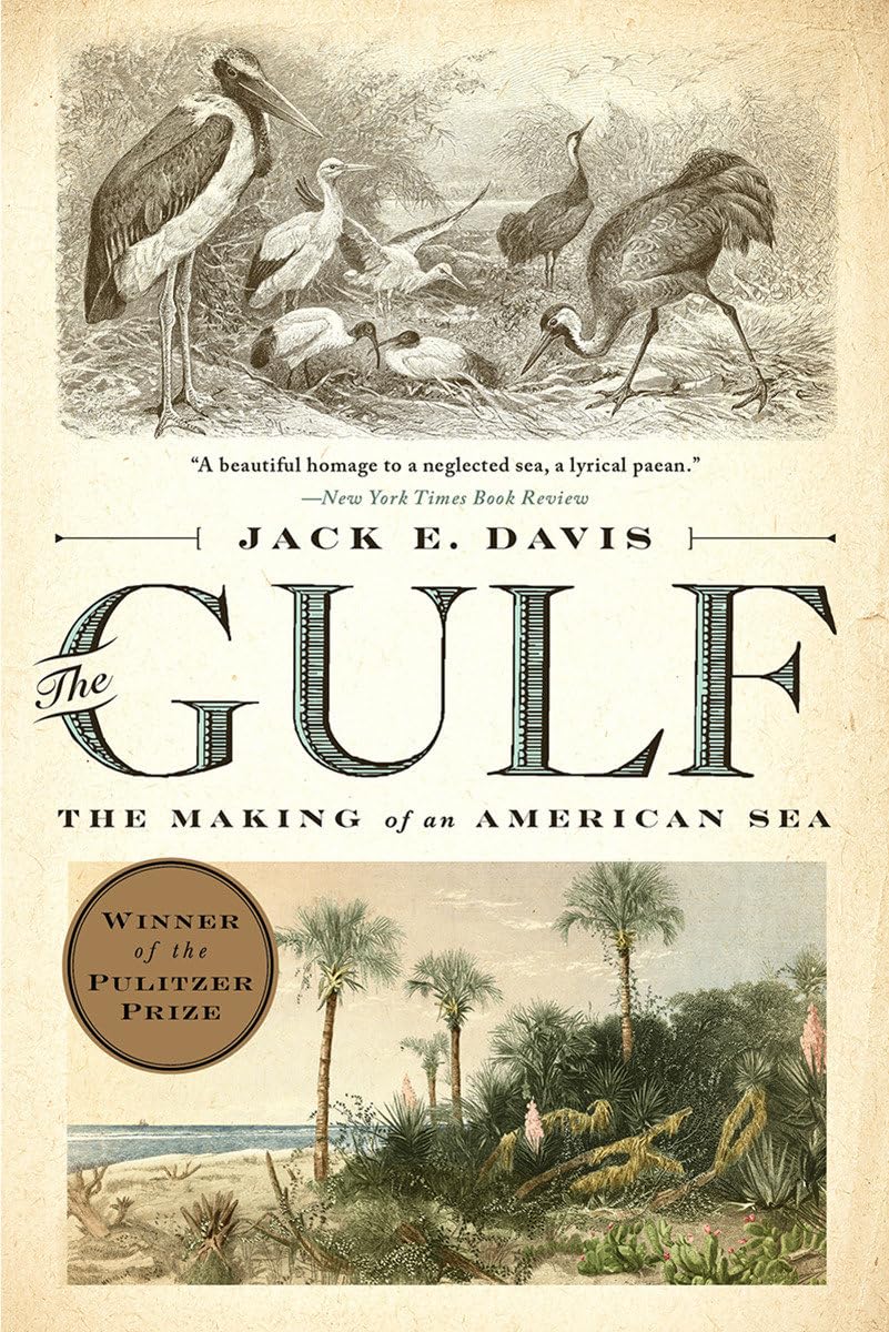 The Gulf: The Making of An American Sea used book depot