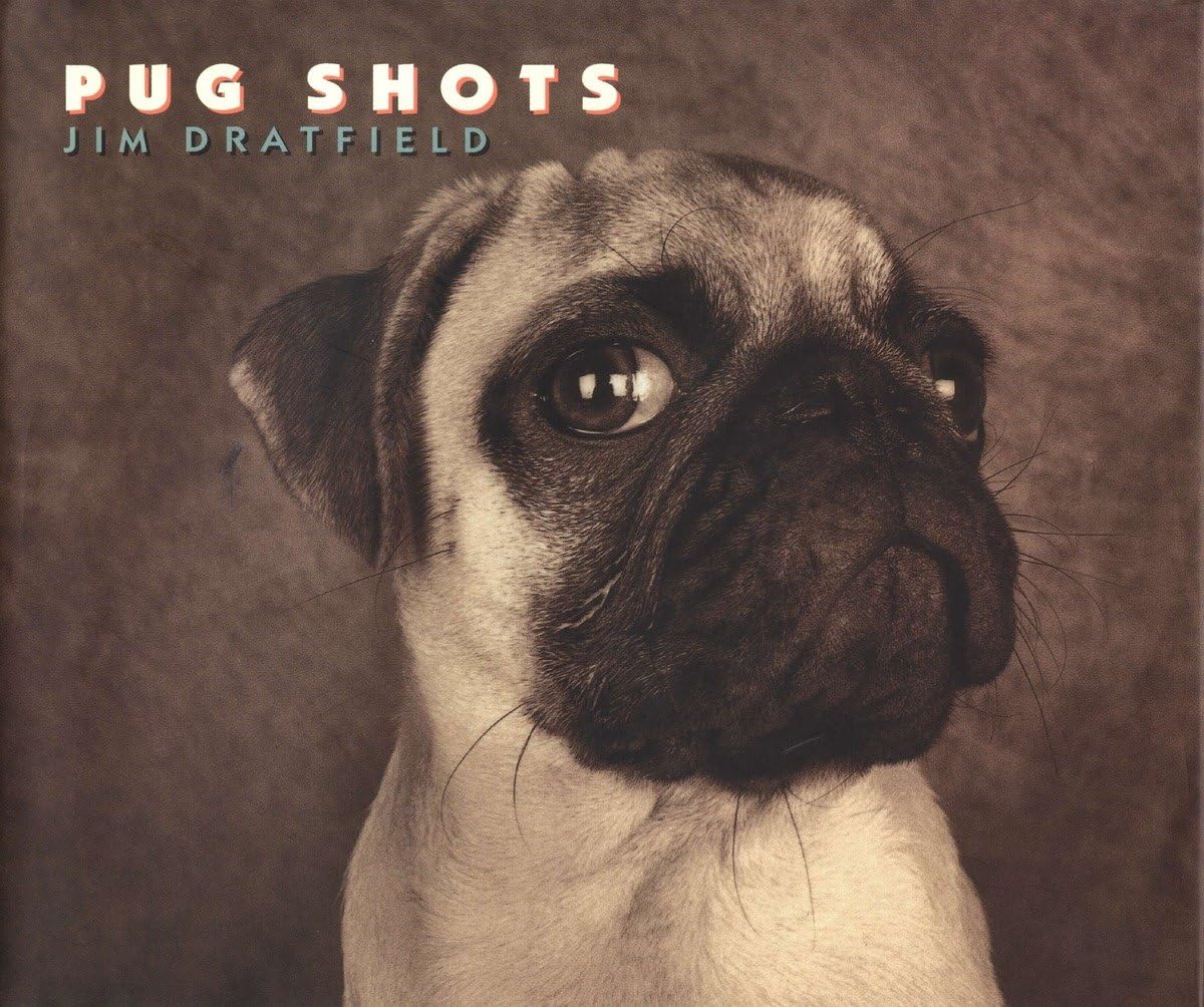 Pug Shots used book depot