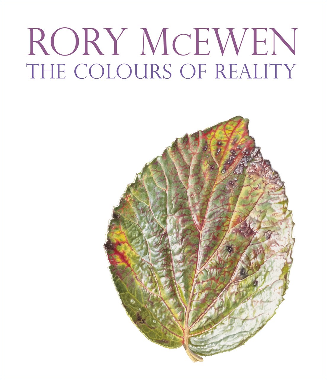 Rory McEwen The Colours of Reality used book depot