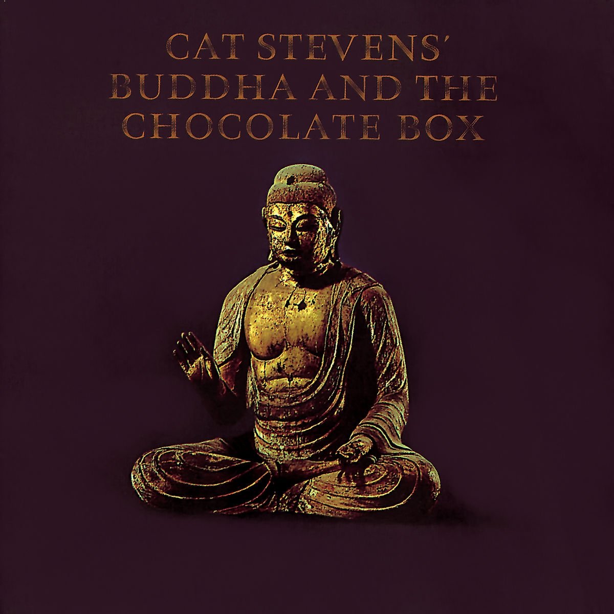 Buddha & the Chocolate Box used book depot