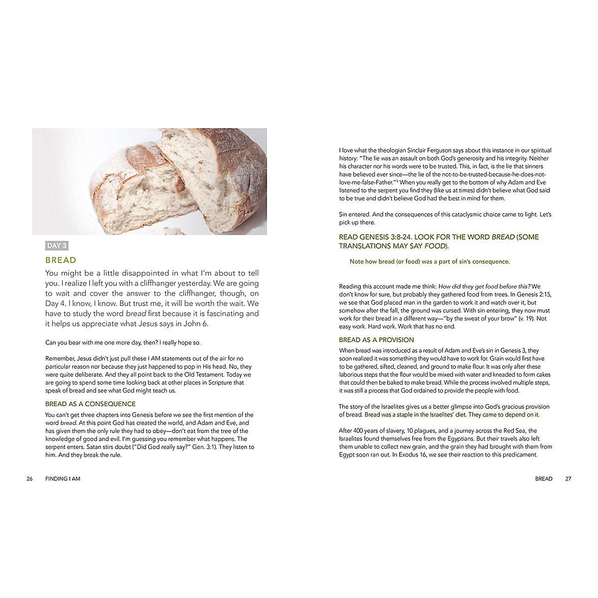 Finding I AM: How Jesus Fully Satisfies the Cry of Your Heart - Bible Study Book used book depot