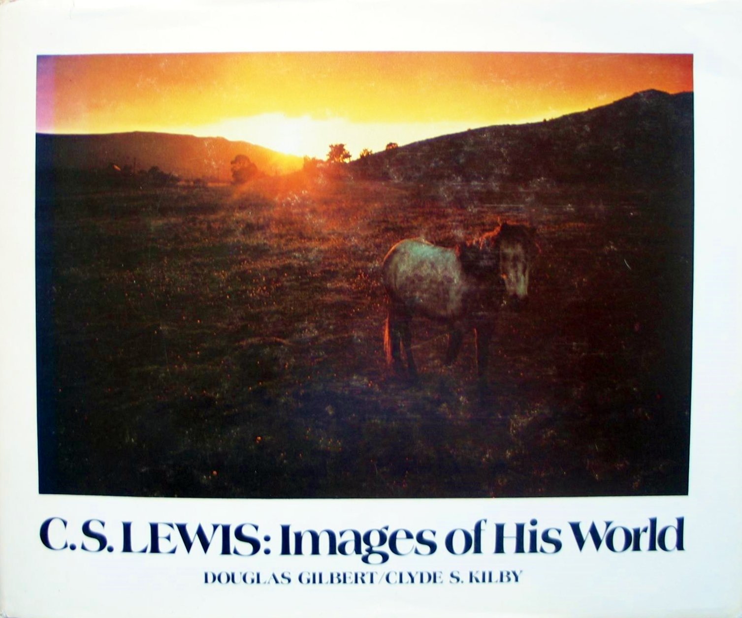 C S Lewis Images of His World used book depot