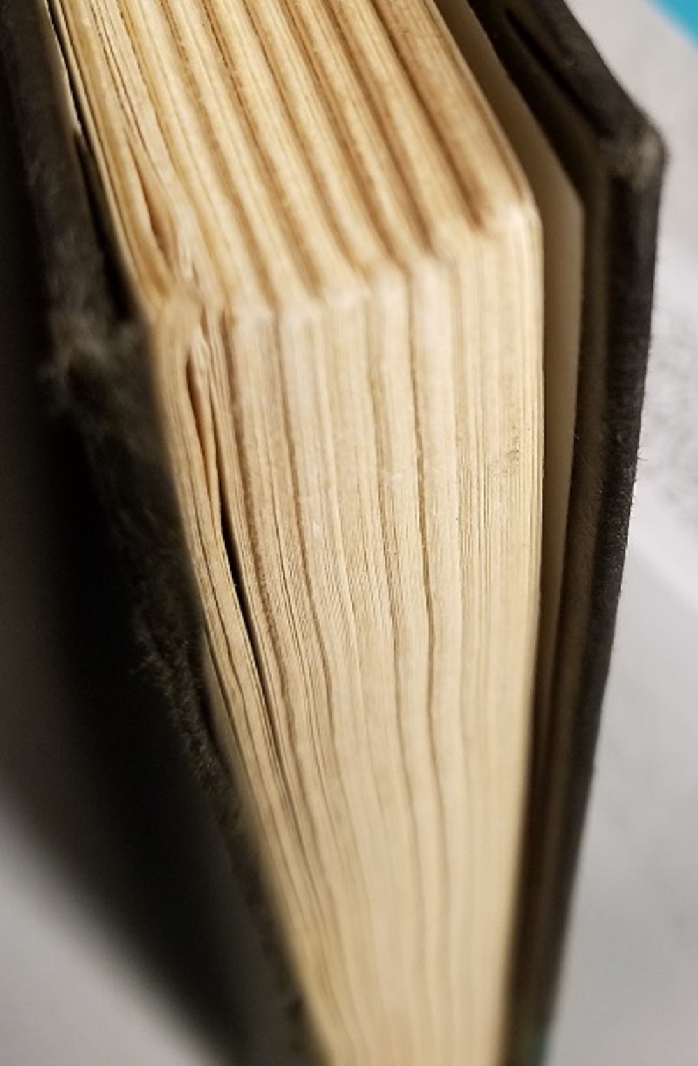 PT06