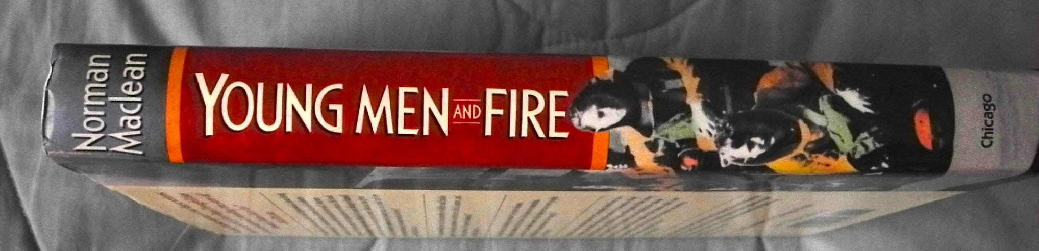 Young Men and Fire: A True Story of the Mann Gulch Fire used book depot