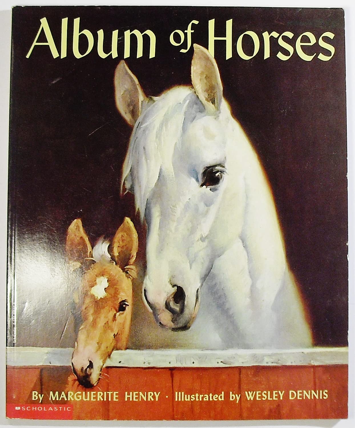 Album of horses used book depot