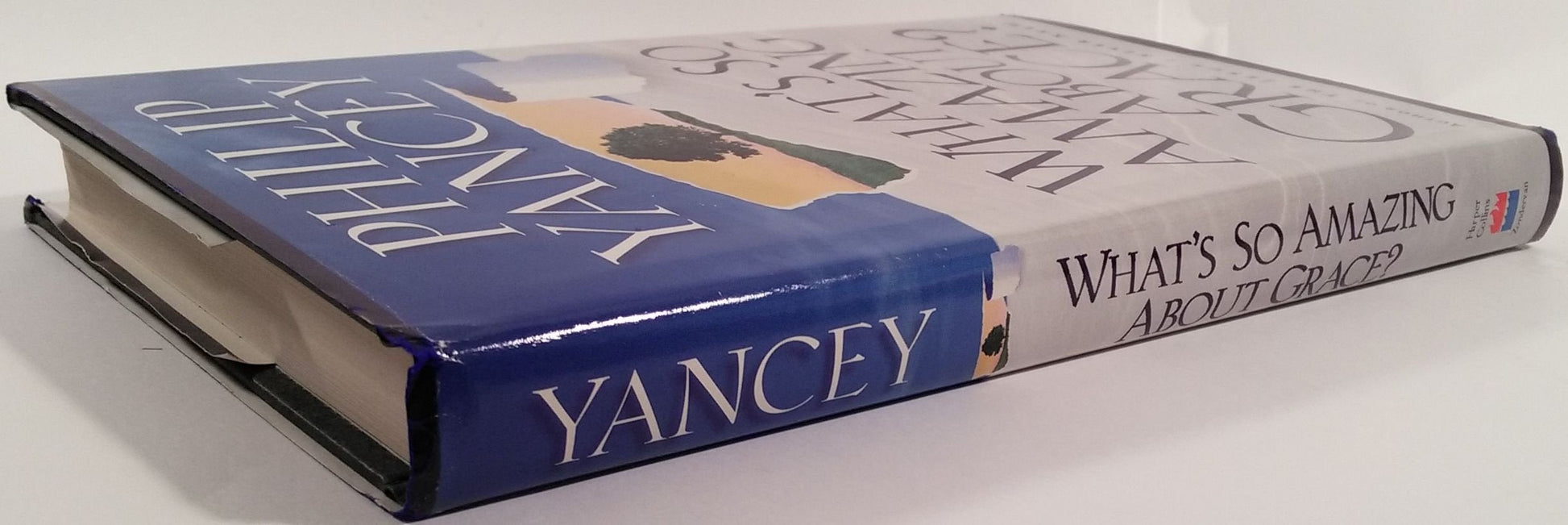 What's So Amazing About Grace? used book depot