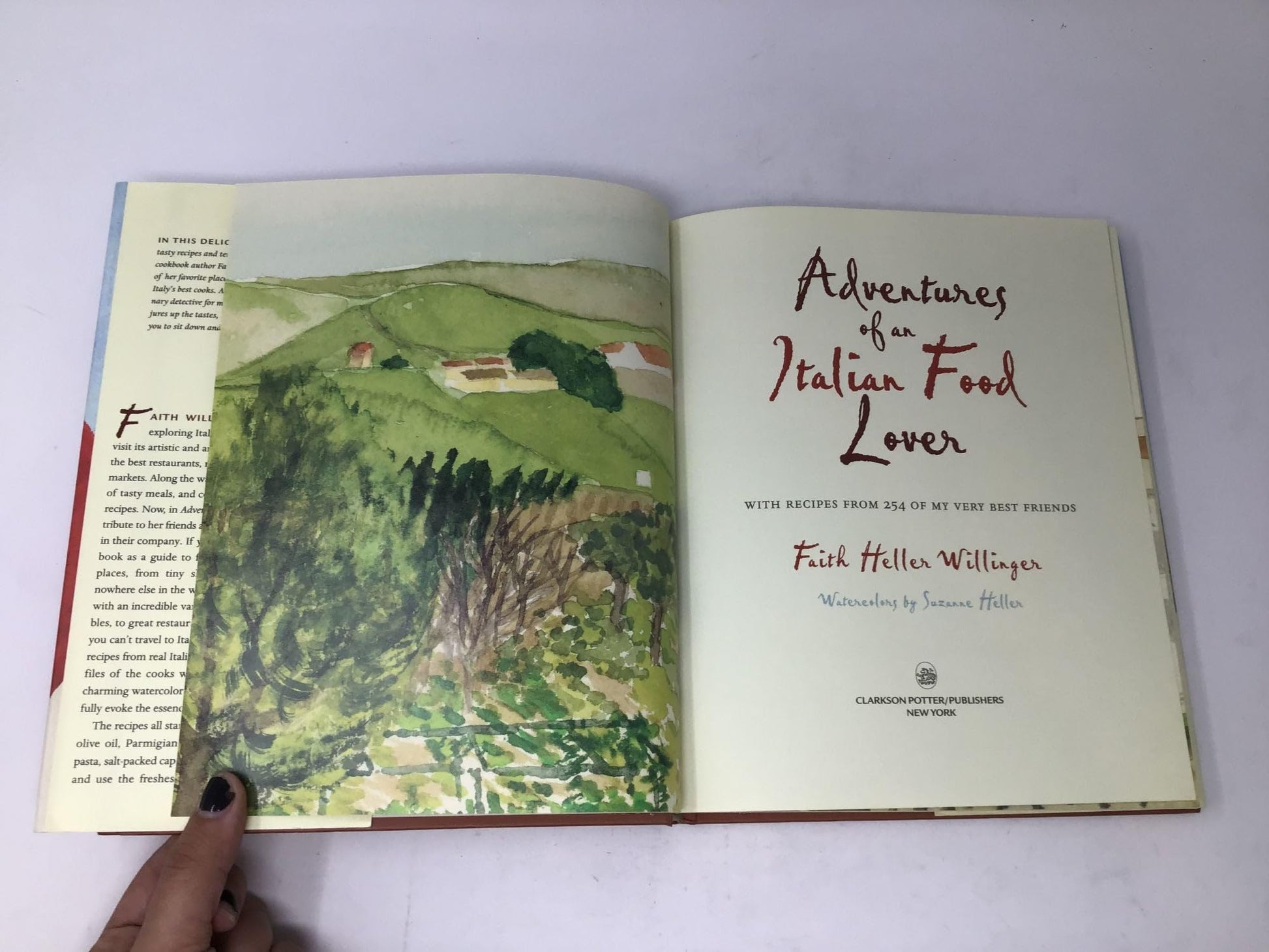 Adventures of an Italian Food Lover: With Recipes from 254 of My Very Best Friends used book depot