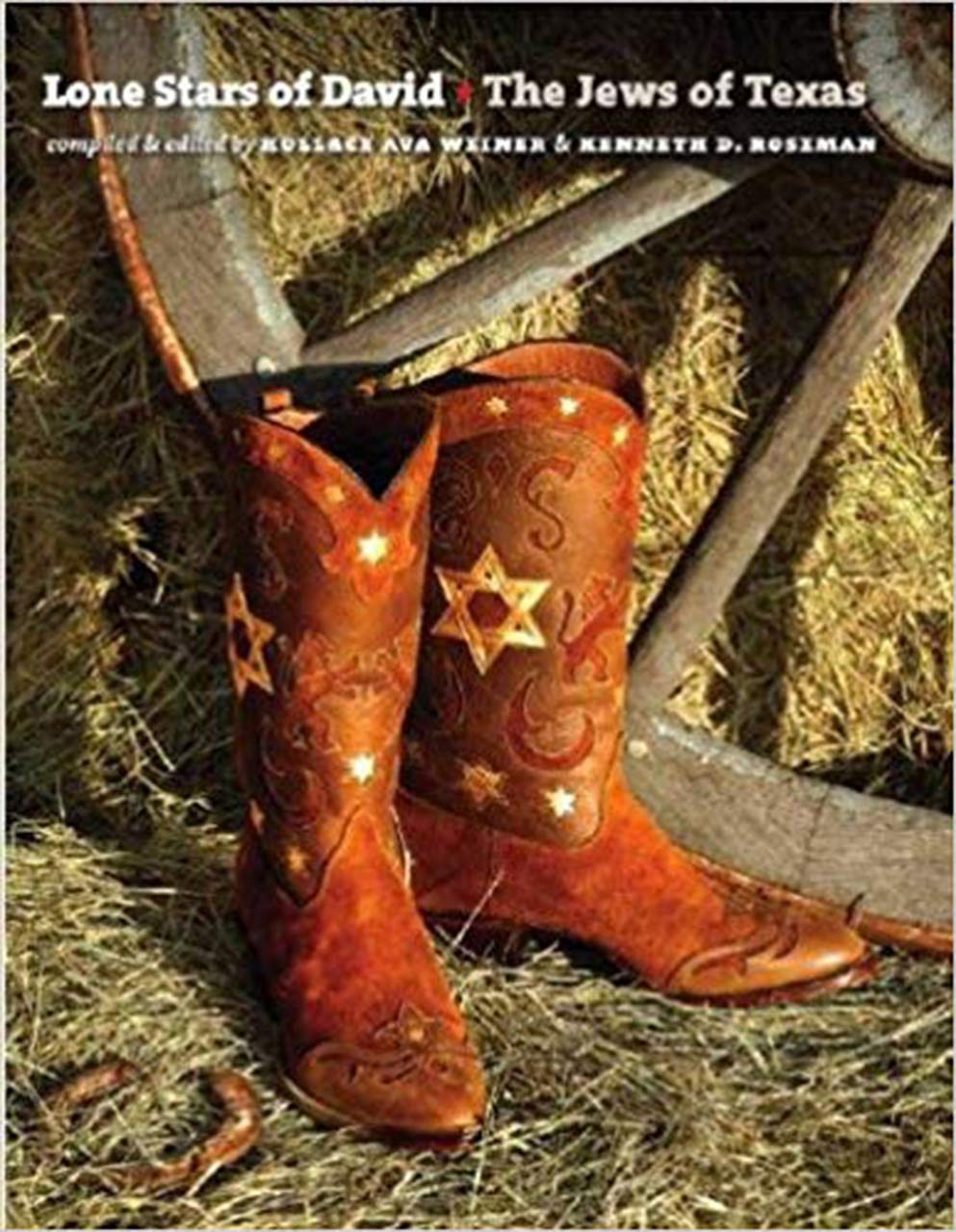 Lone Stars of David: The Jews of Texas (Brandeis Series in American Jewish History, Culture, and Life) used book depot