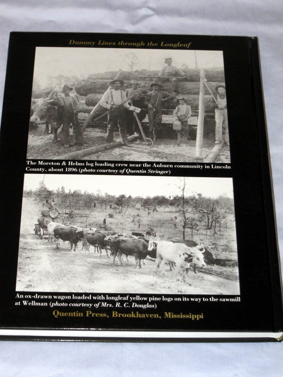 Dummy lines through the longleaf: A history of the sawmills and logging railroads of southwest Mississippi used book depot