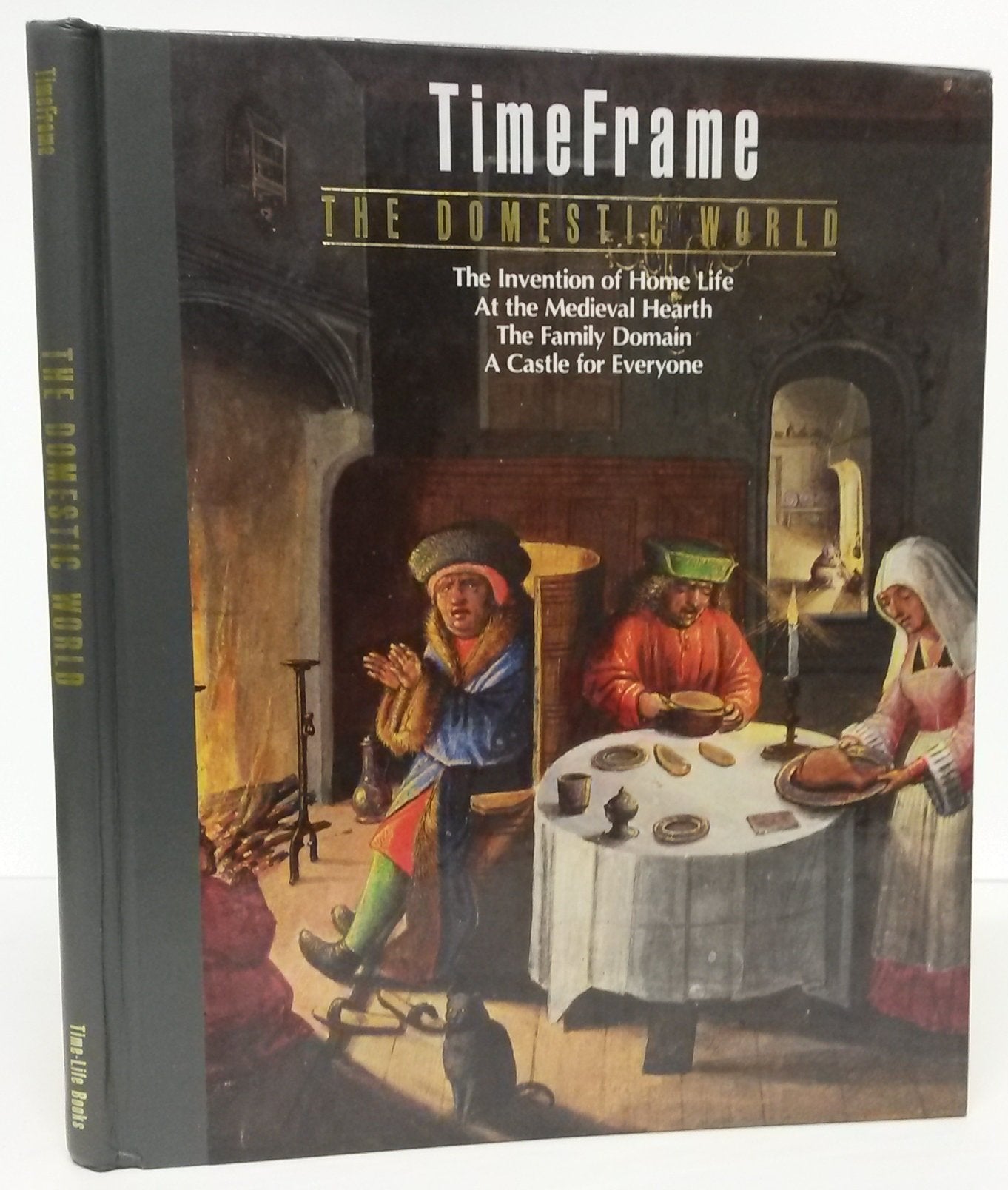 The Domestic World (TimeFrame) used book depot