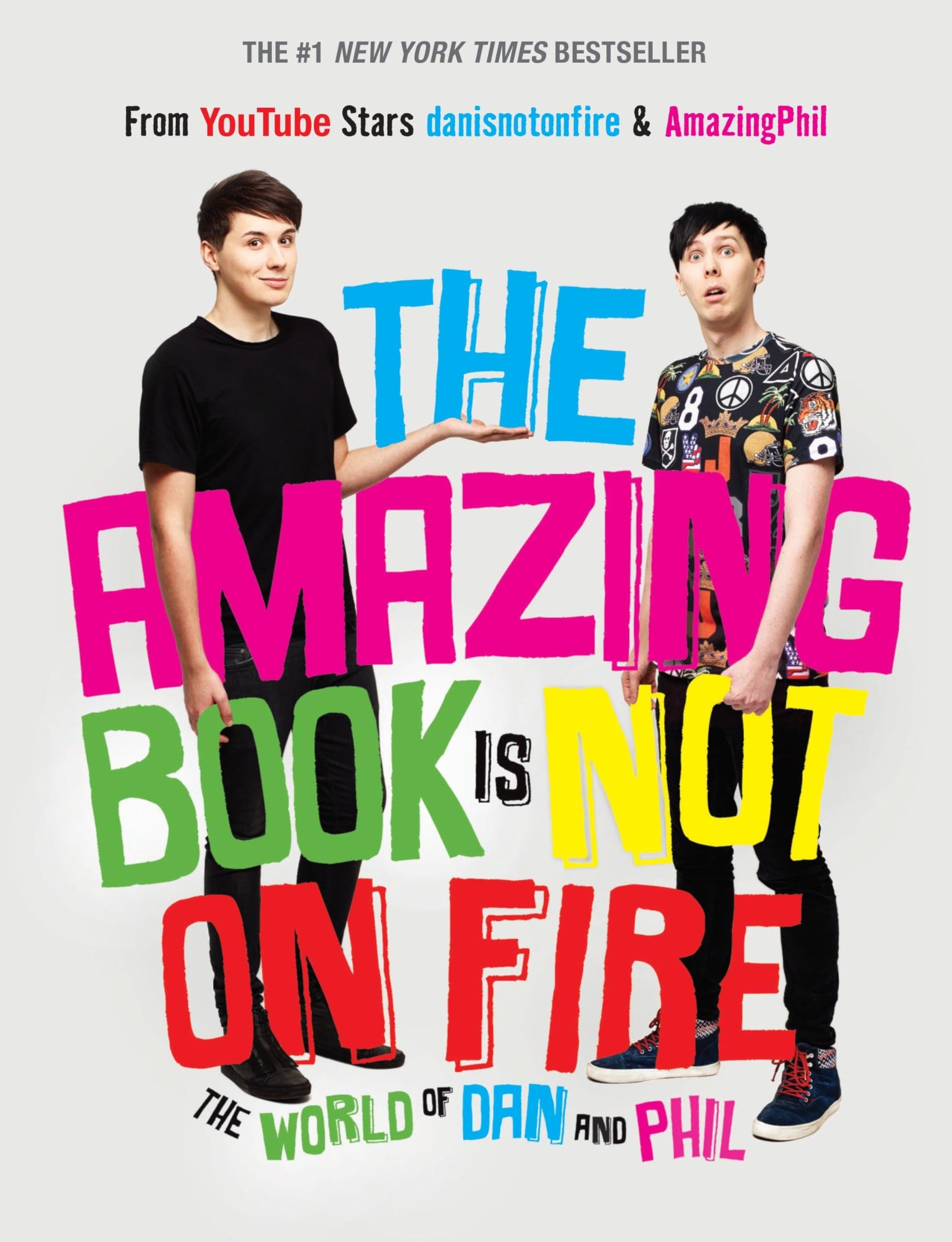 The Amazing Book Is Not on Fire: The World of Dan and Phil used book depot