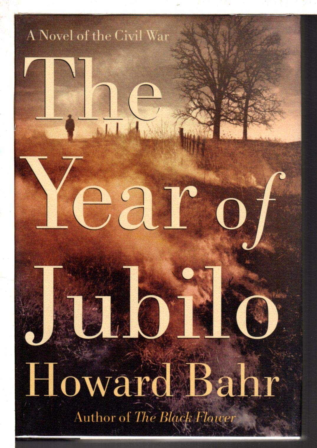 The Year of Jubilo: A Novel of the Civil War used book depot