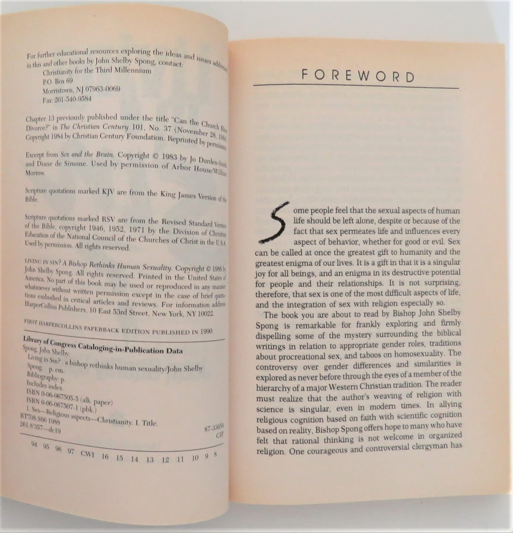 Living in Sin?: A Bishop Rethinks Human Sexuality used book depot