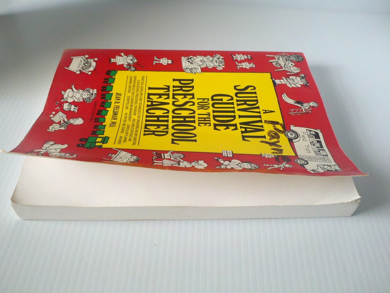 A Survival Guide for the Preschool Teacher used book depot