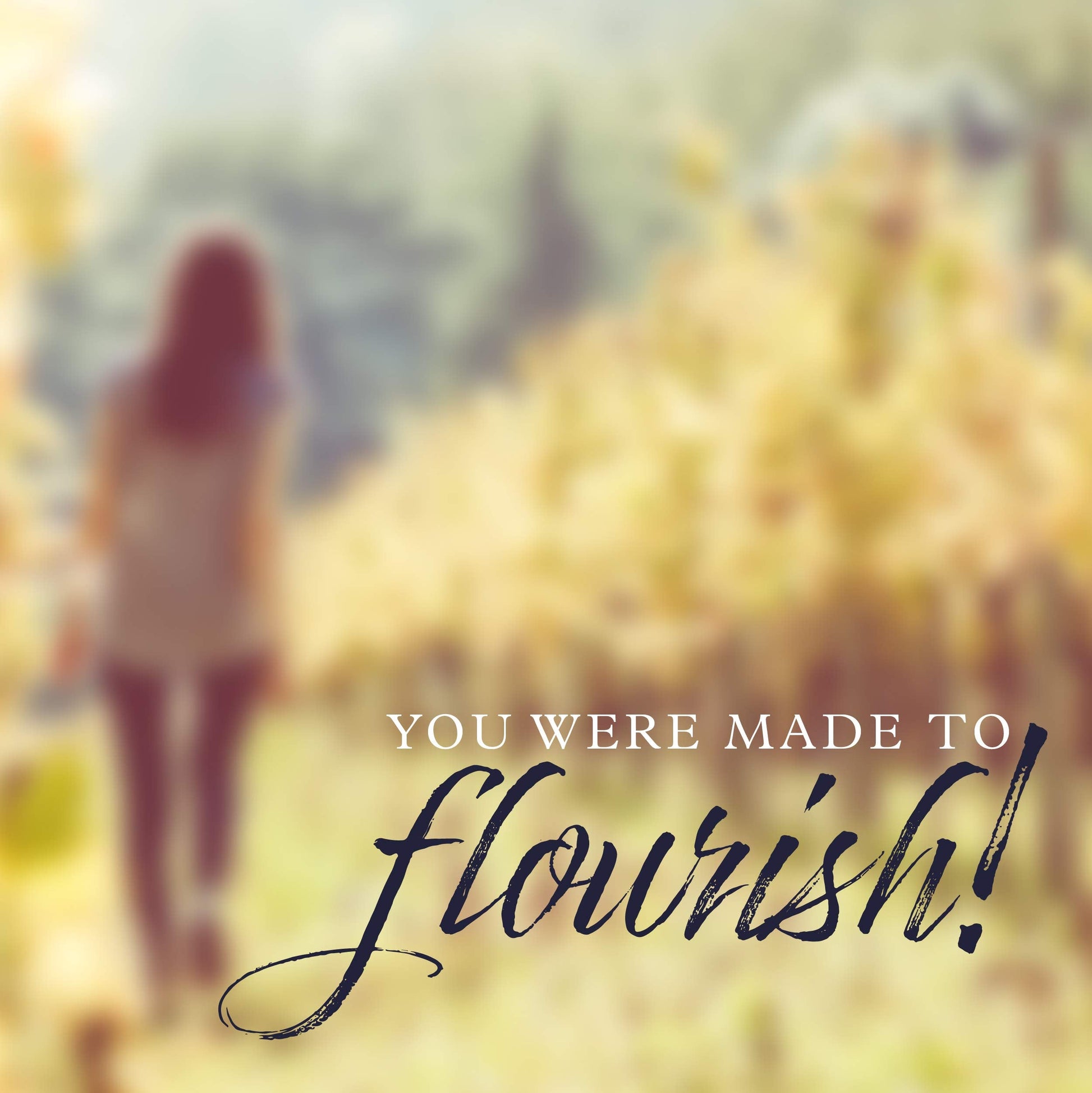 Chasing Vines: Finding Your Way to an Immensely Fruitful Life used book depot