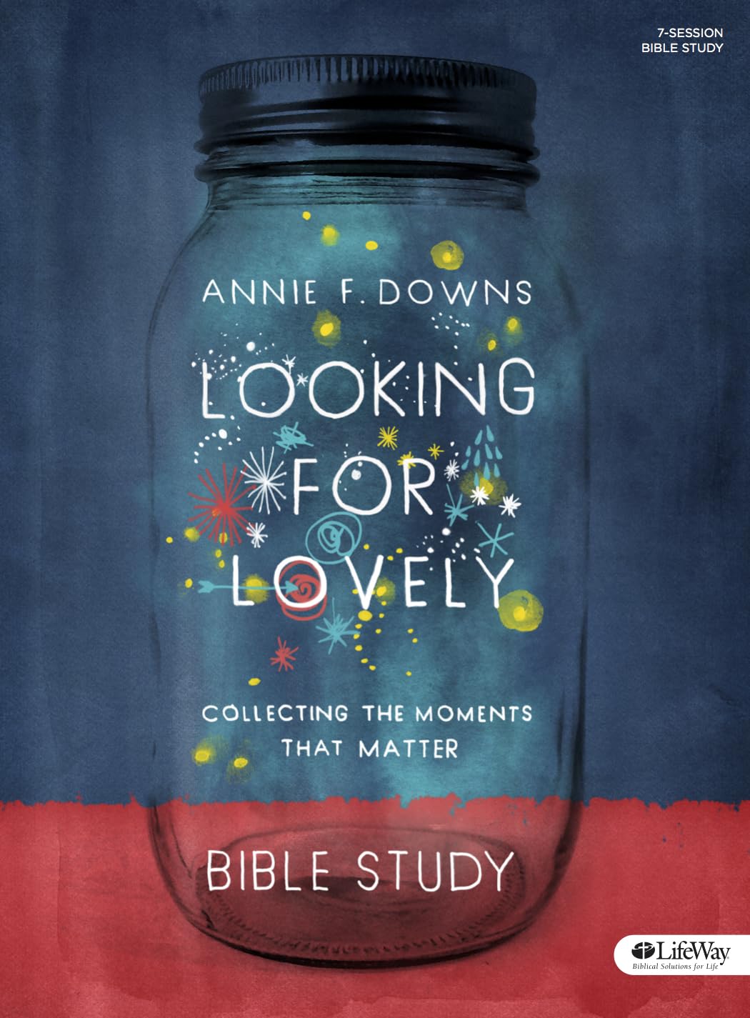 Looking for Lovely - Bible Study Book: Collecting the Moments that Matter used book depot
