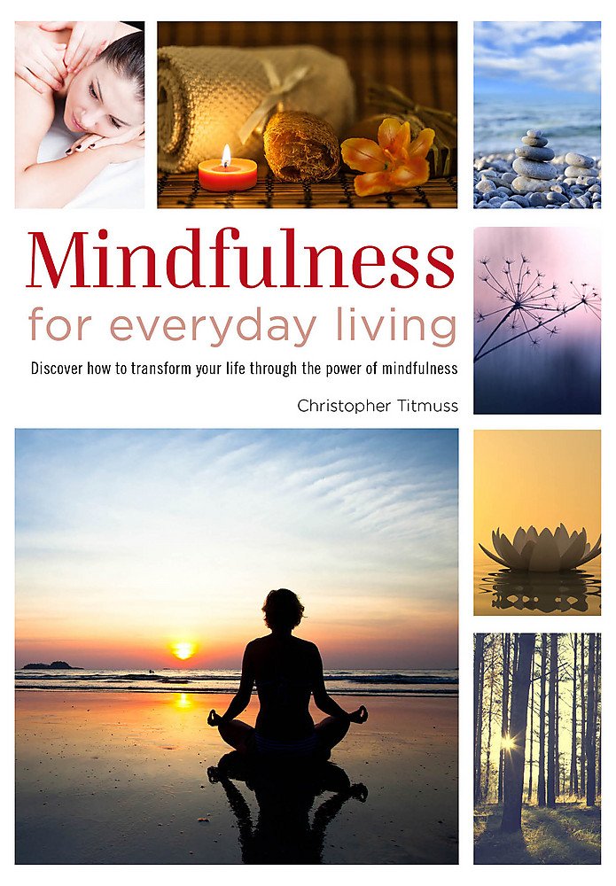 Mindfulness for Everyday Living (Healing Handbooks) used book depot