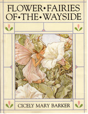 Flower Fairies of the Wayside: Poems and Pictures used book depot