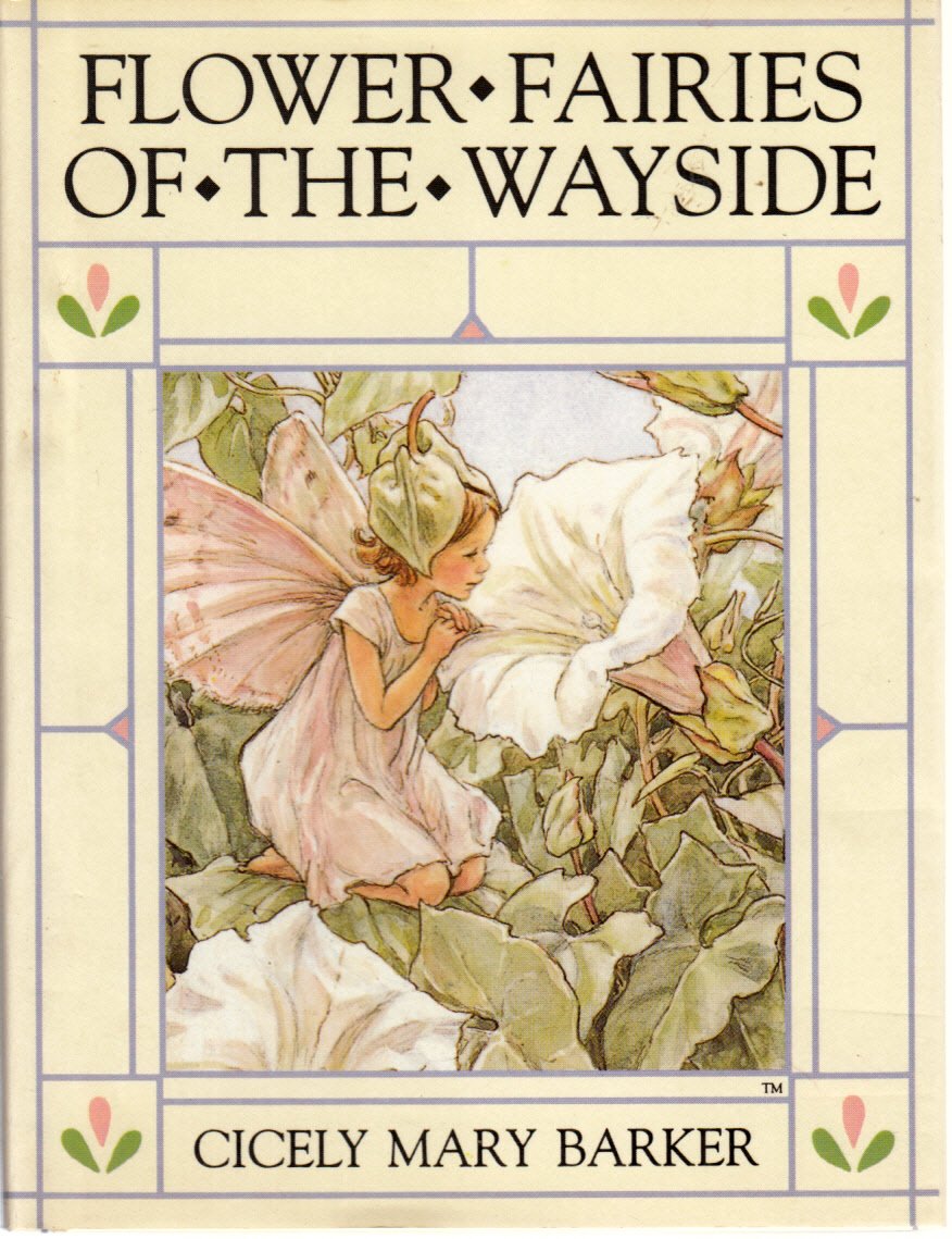 Flower Fairies of the Wayside: Poems and Pictures used book depot