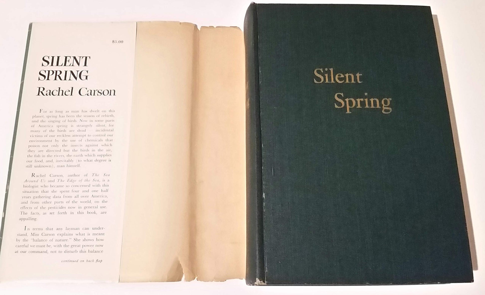 Silent spring used book depot