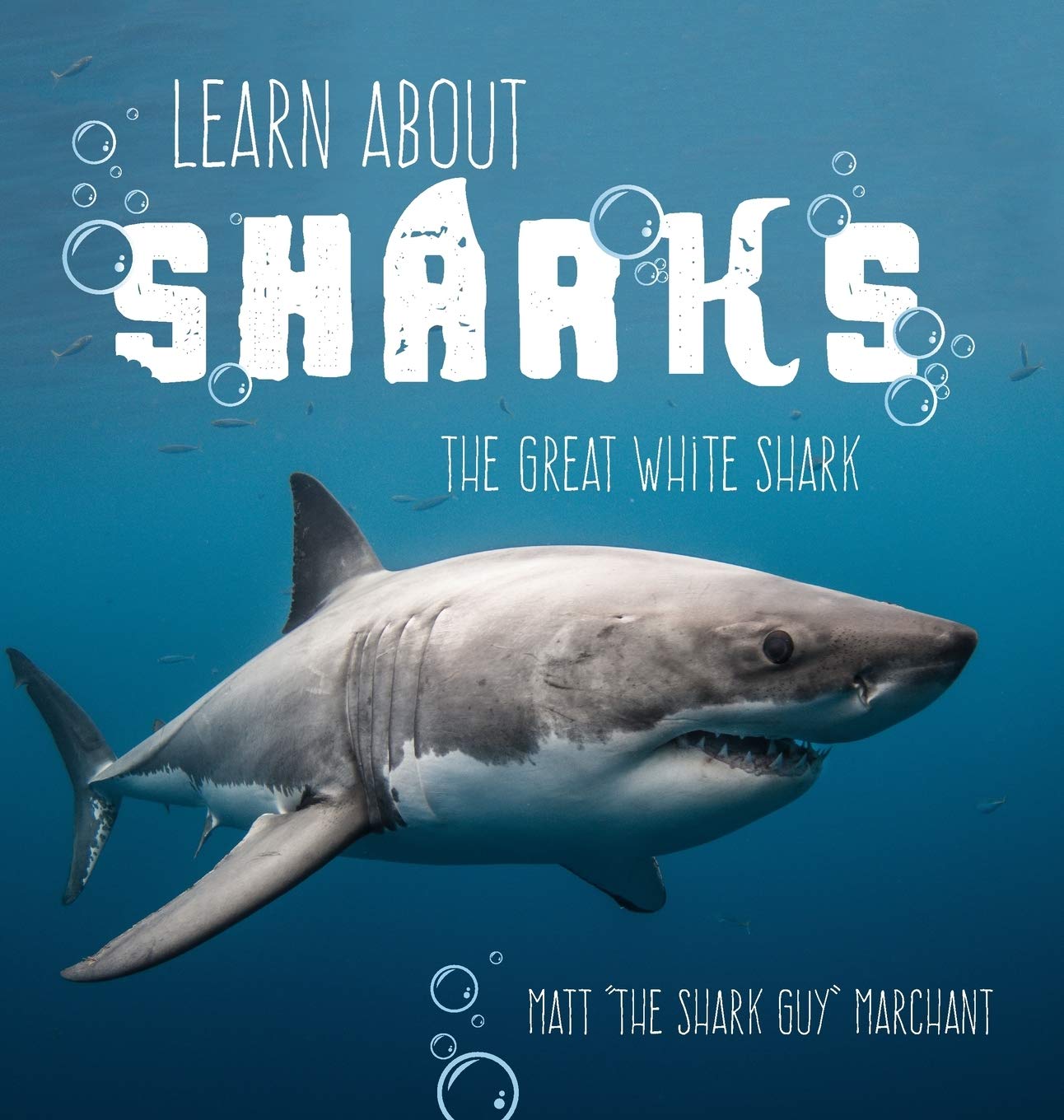 Learn About Sharks: The Great White Shark used book depot