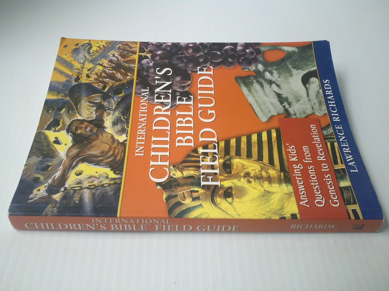 International Children's Bible Field Guide used book depot