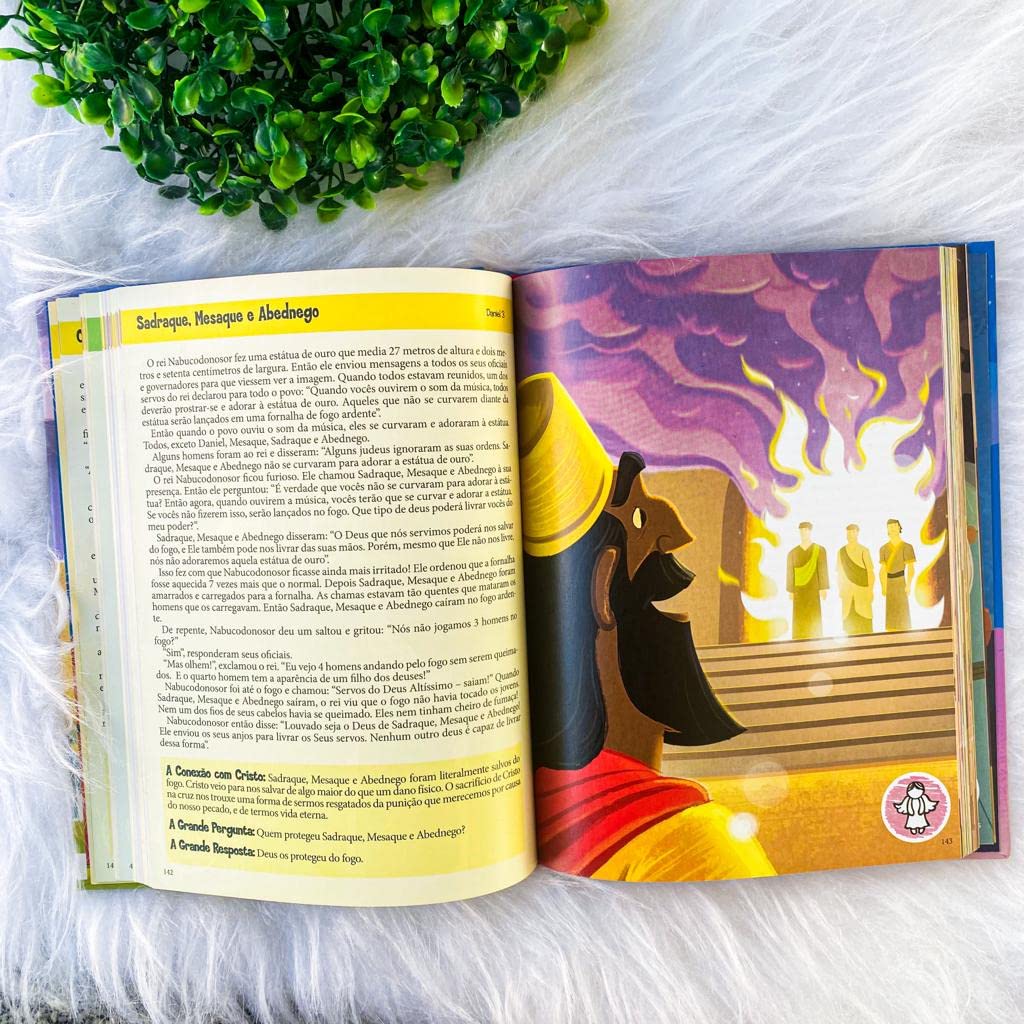 The Big Picture Interactive Bible Storybook, Hardcover: Connecting Christ Throughout God’s Story (The Big Picture Interactive / The Gospel Project) used book depot