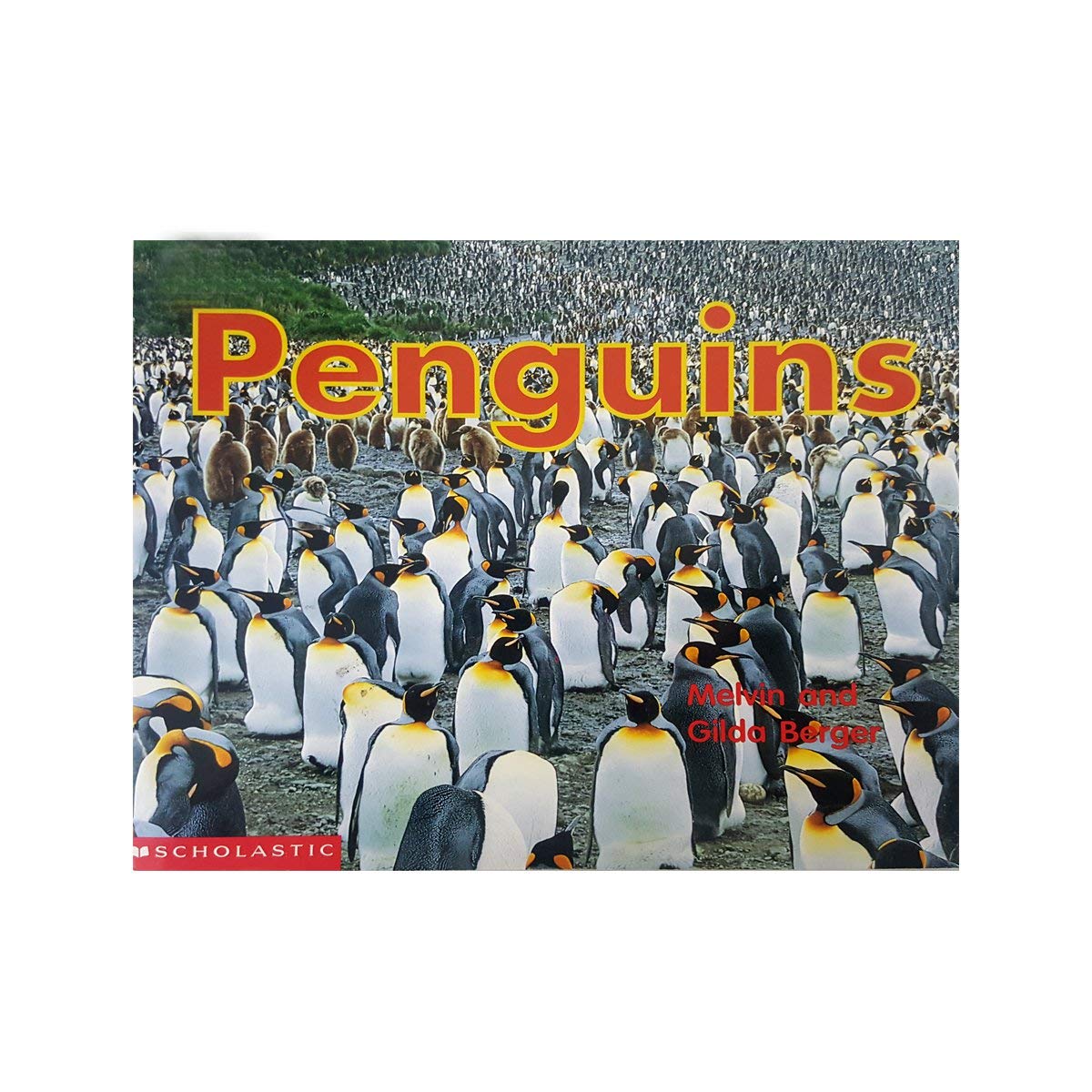 Penguins (Scholastic time-to-discover readers) used book depot