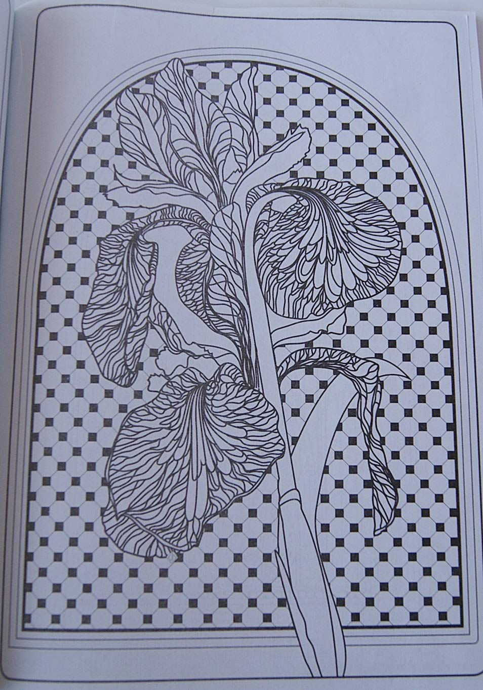 Kappa Adult Coloring Stained Glass Designs Coloring and Activity Book - 32 Pages used book depot