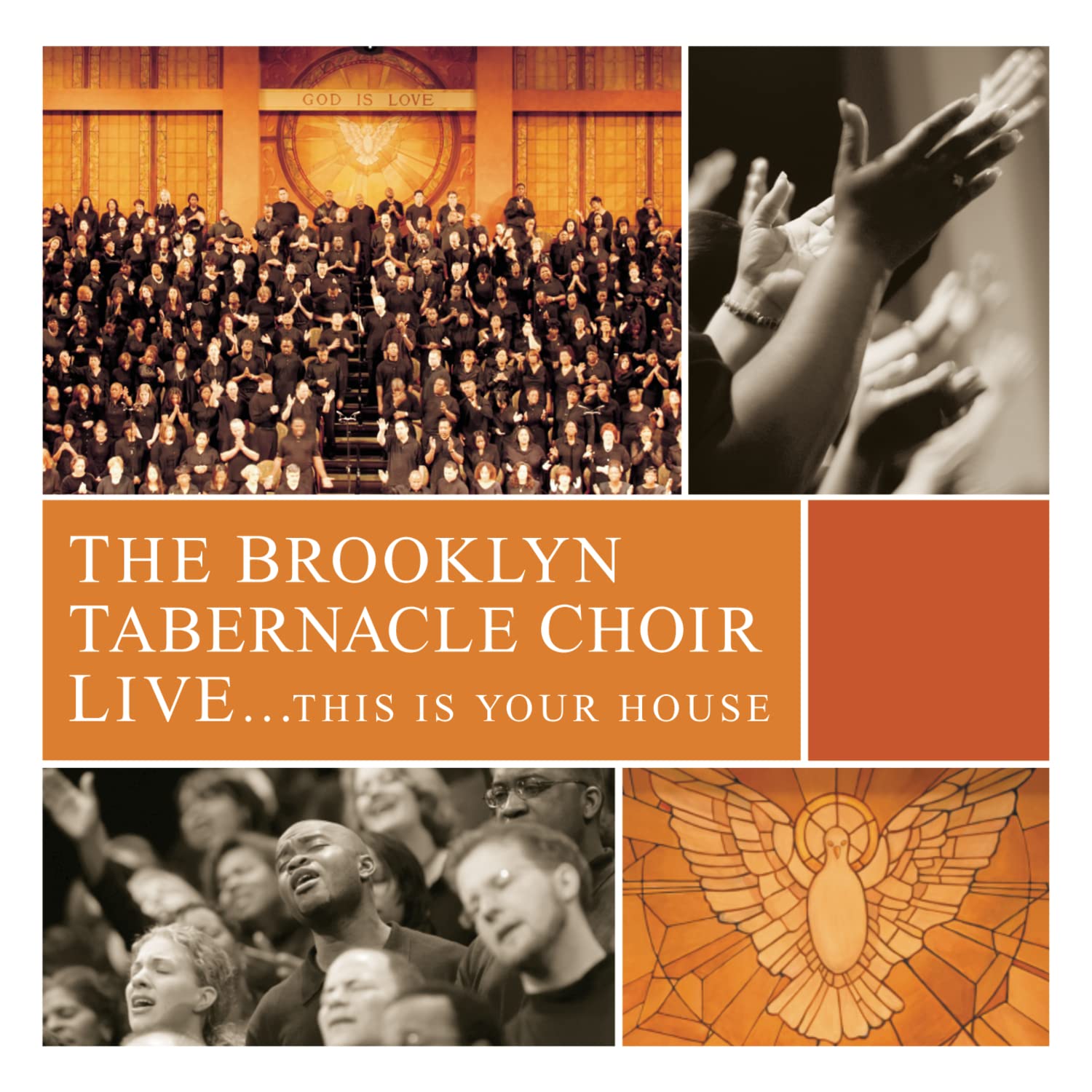 Live...This Is Your House used book depot