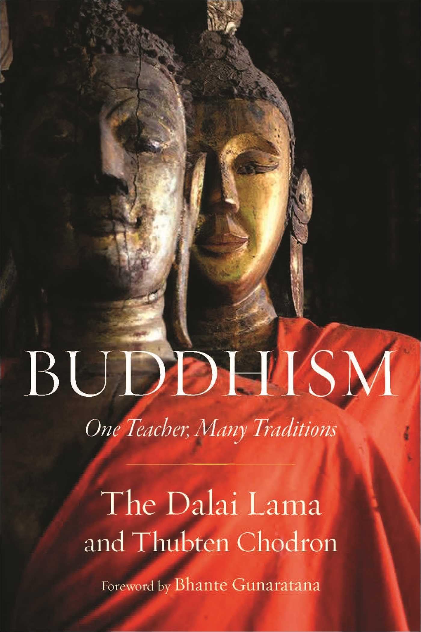 Buddhism: One Teacher, Many Traditions used book depot