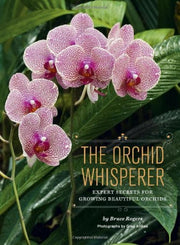 The Orchid Whisperer: Expert Secrets for Growing Beautiful Orchids (-) used book depot