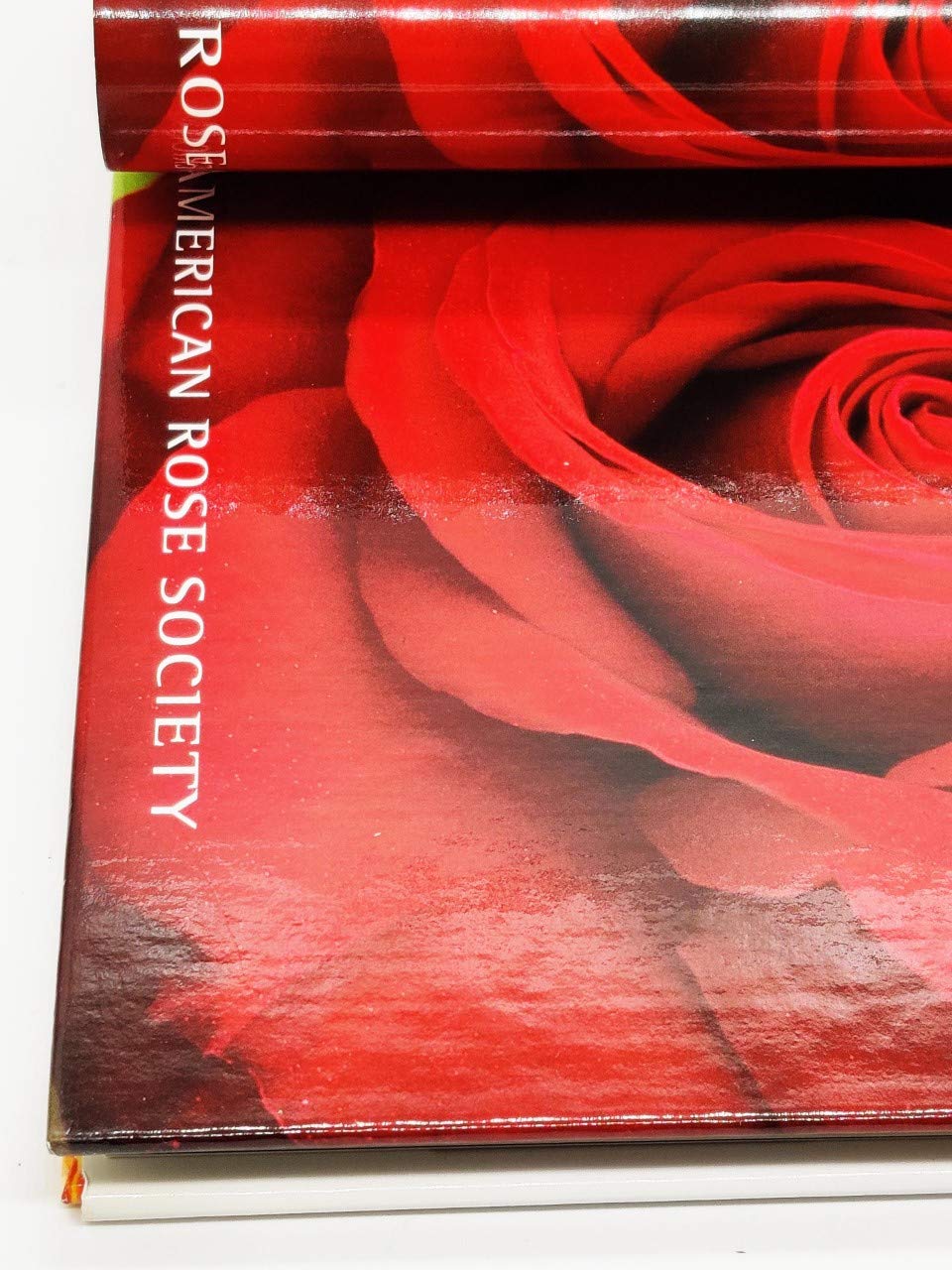 Ultimate Rose (American Rose Society) used book depot