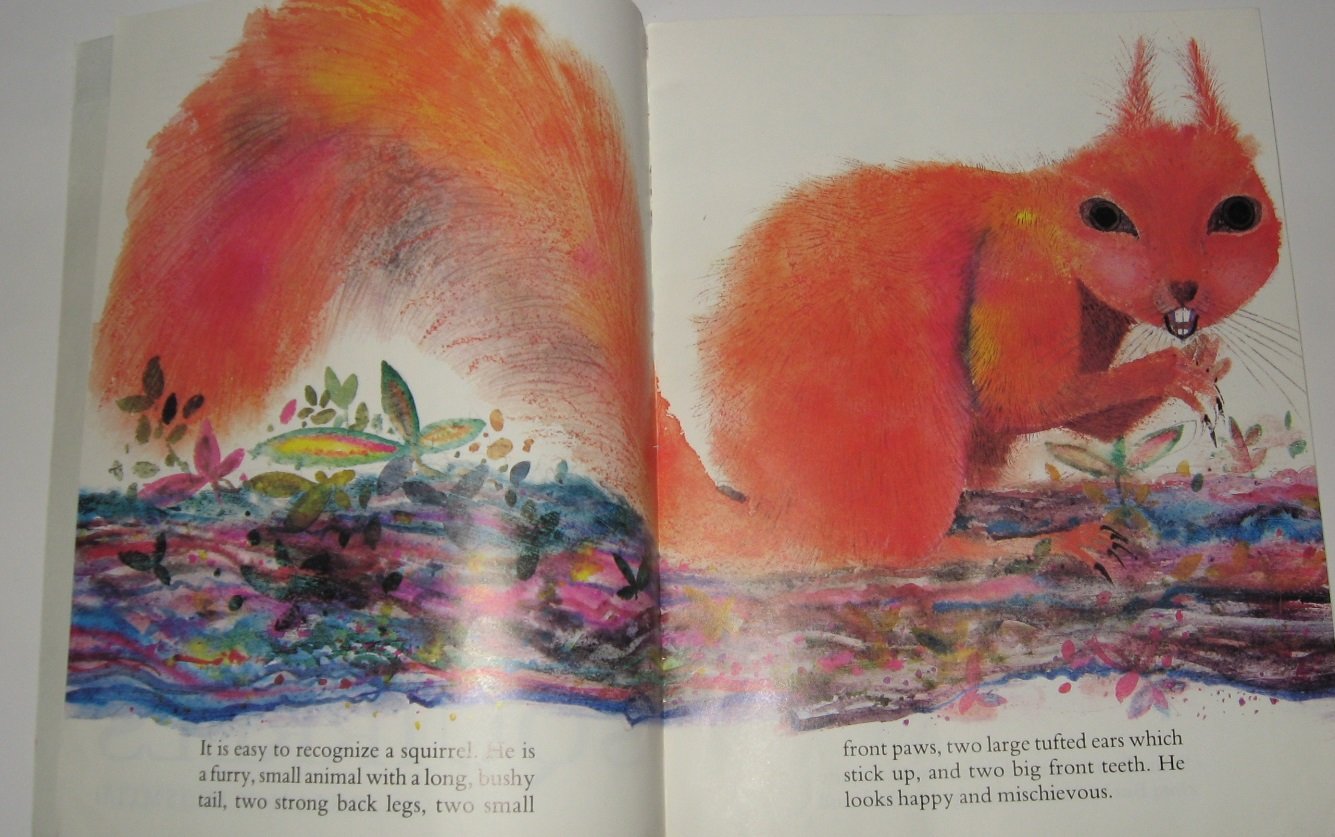 Squirrels used book depot