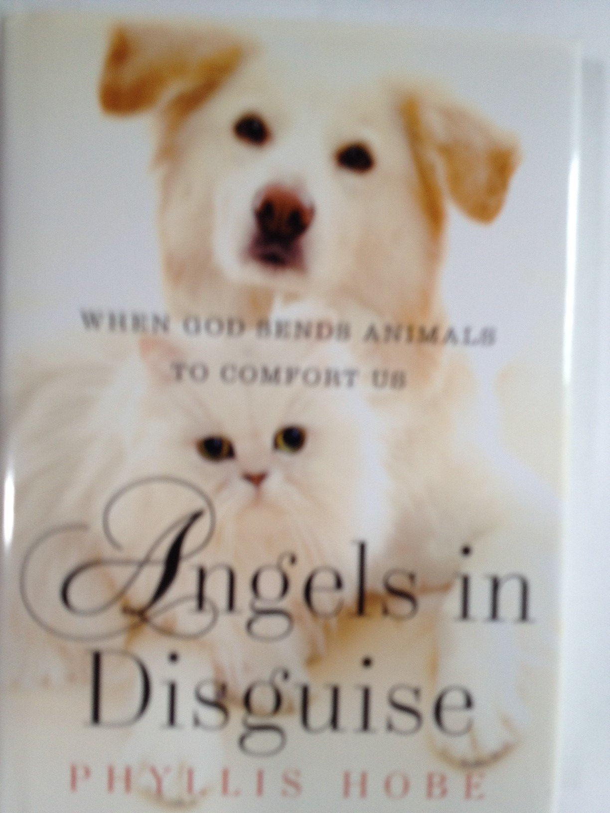Angels in Disguise: When God Sends Animals to Comfort Us used book depot